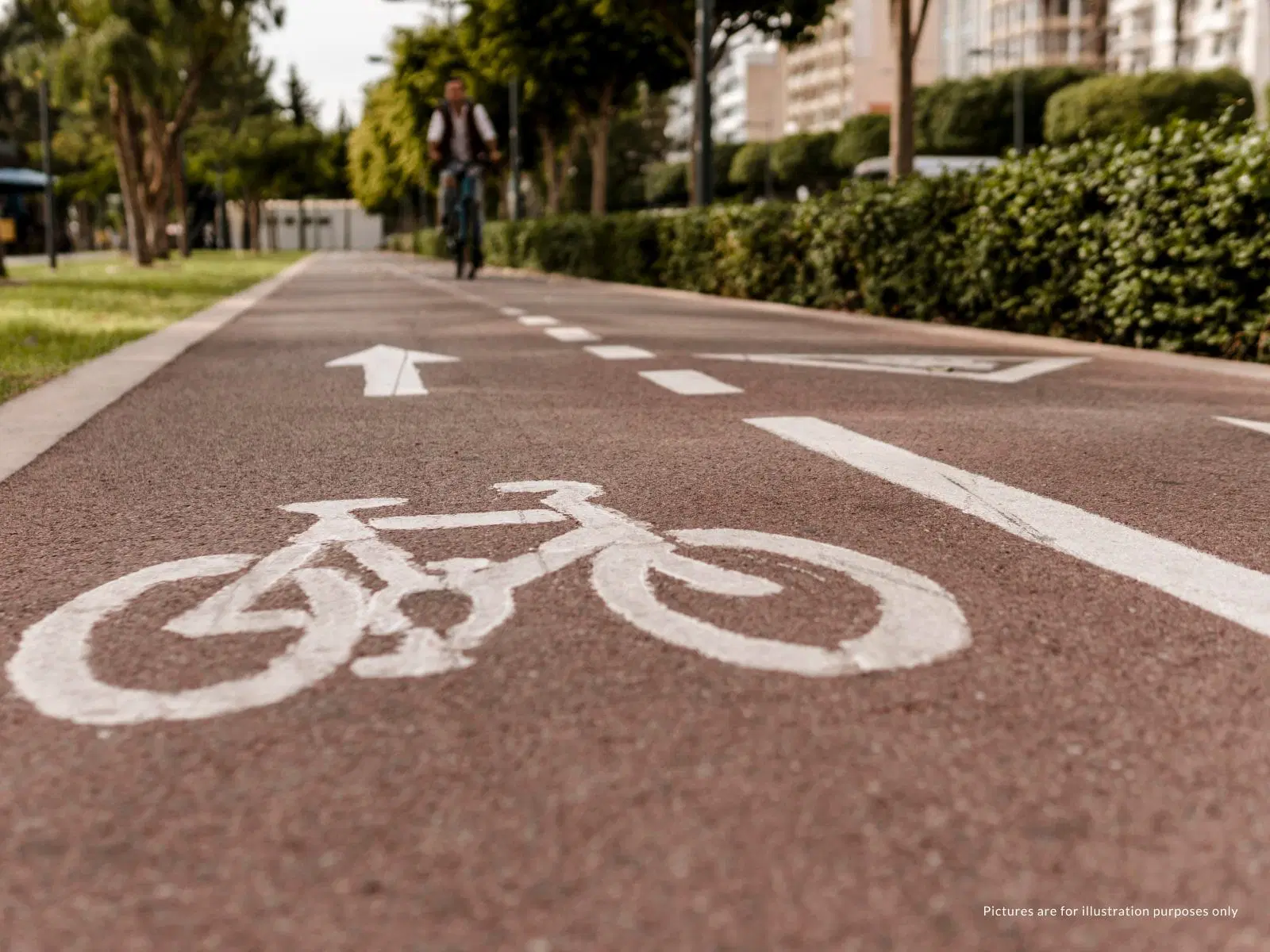 Radha Meadows Cycling Track