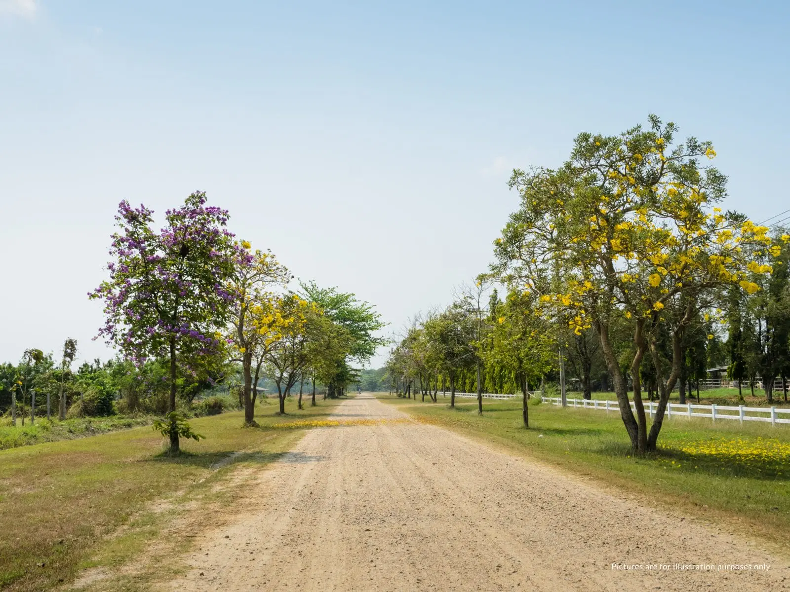 Radha Meadows Open Area